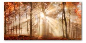 Akril üveg kép Köd az erdőben ősszel