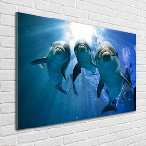 Üvegkép Három delfinek