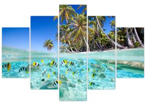 Kép - trópusi, tenger (150x105cm)