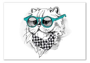 Akrilkép Cat szemüveg