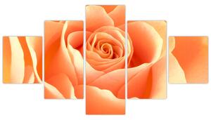 Kép - narancs, roses (125x70cm)