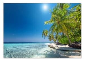 Üvegfotó Maldív-szigetek strand