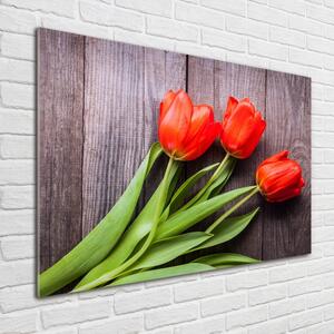 Akrilkép Piros tulipánok