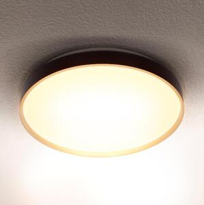 Brilagi Brilagi - LED Mennyezeti lámpa CALA LED/24W/230V BG1626