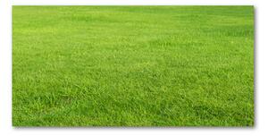Akril üveg kép Zöld fű