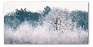 Akril üveg kép Fák télen