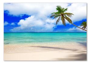 Akril üveg kép Karibi tengerparton