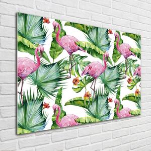 Akrilkép Flamingók növények