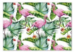 Akrilkép Flamingók növények