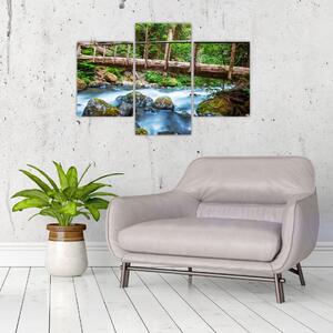 Festmény egy lakáshoz - hegyi patak (90x60cm)