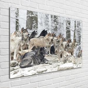 Üvegkép Farkasok télen