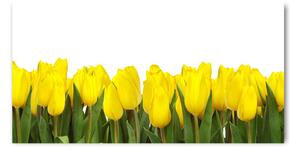 Akrilkép Sárga tulipánok