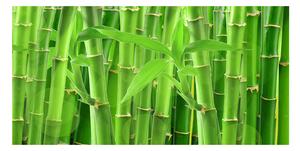 Akrilkép Bambuszok