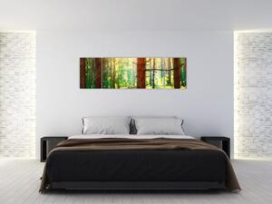 Modern képek - erdő (170x50cm)