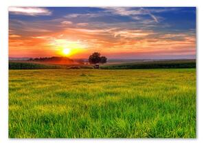 Akril üveg kép Sunset meadow