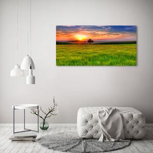 Akril üveg kép Sunset meadow