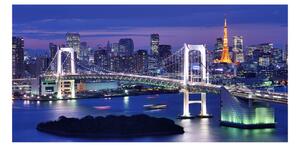 Akrilüveg fotó Bridge tokióban
