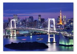 Akrilüveg fotó Bridge tokióban