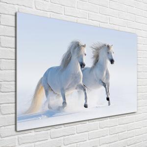 Üvegkép Két ló a hóban