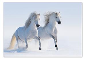 Akrilkép Két ló a hóban