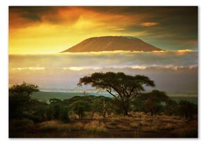 Akril üveg kép Kilimanjaro kenya