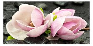 Akrilkép Magnolia zen stone-