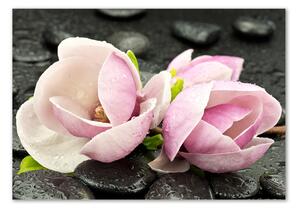 Akrilkép Magnolia zen stone-