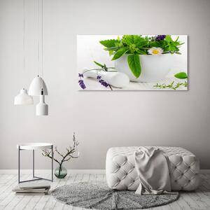 Akril üveg kép Habarcs és fűszernövények