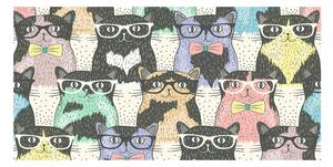 Akrilkép Macskák szemüveg