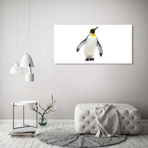 Akrilkép Pingvin