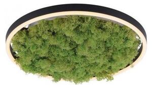JUST LIGHT. JUST LIGHT. 15391-66 - LED Dimmelhető mennyezeti lámpa ZÖLD RITU LED/20W/230V W4568