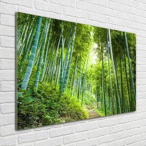 Akril üveg kép Bambusz erdő