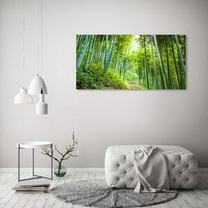 Akril üveg kép Bambusz erdő
