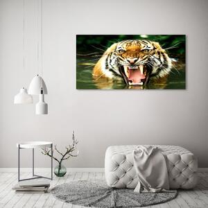 Akrilkép Ordító tigris