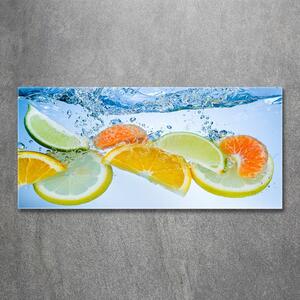 Akril üveg kép Citrus víz alatt