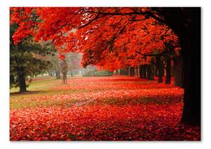 Akrilkép Fák ősszel