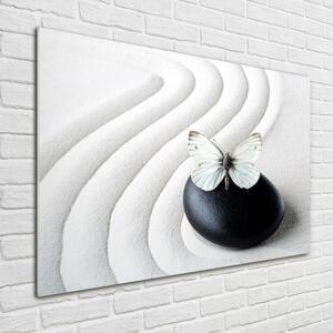 Akrilkép Zen kő és pillangó