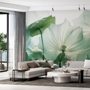 Fotótapéta Finom levelek a lágy napfényben, Modern fotótapéta, Modern fotótapéta, w03469 - Muralas.hu