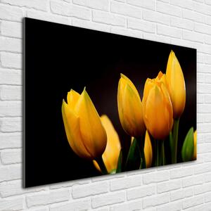 Akrilkép Sárga tulipánok