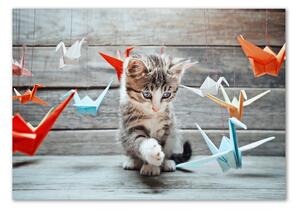 Üvegkép Cat papír madarak