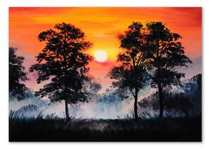 Akril üveg kép Sunset erdő