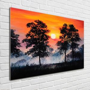 Akril üveg kép Sunset erdő