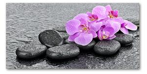 Akrilkép Orchideák kövek
