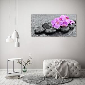 Akrilkép Orchideák kövek