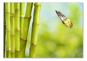 Akrilkép Bamboo és a pillangó