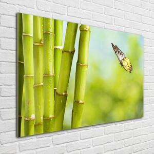 Akrilkép Bamboo és a pillangó