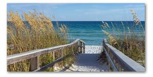 Akril üveg kép Dűnék