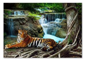 Akrilkép Tigris vízesés