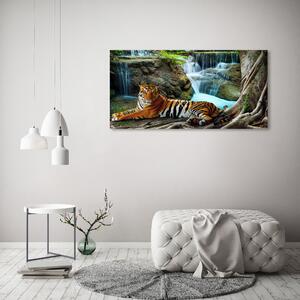Akrilkép Tigris vízesés