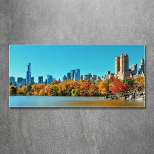 Akrilüveg fotó New york ősszel